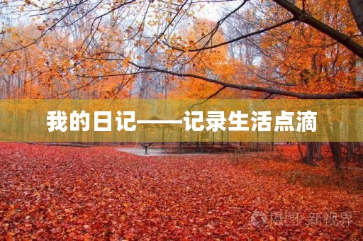 我的日记——记录生活点滴