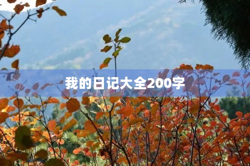 我的日记大全200字