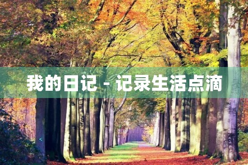 我的日记 - 记录生活点滴
