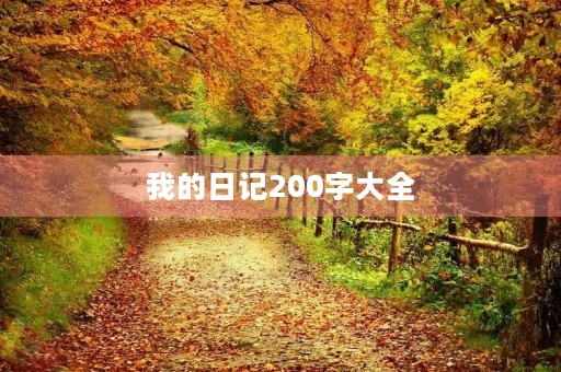 我的日记200字大全