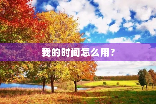 我的时间怎么用？