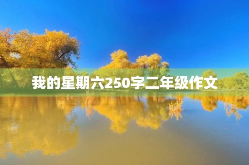 我的星期六250字二年级作文