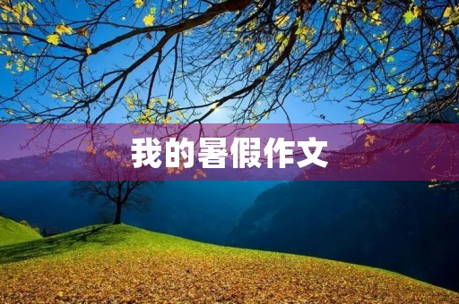 我的暑假作文