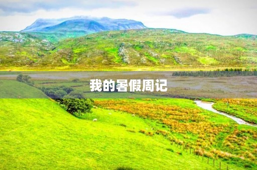 我的暑假周记 我的暑假周记