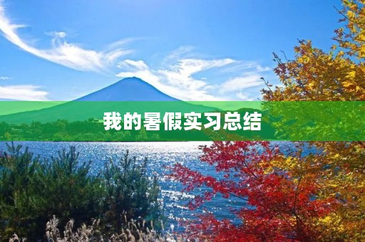 我的暑假实习总结 我的暑假实习总结
