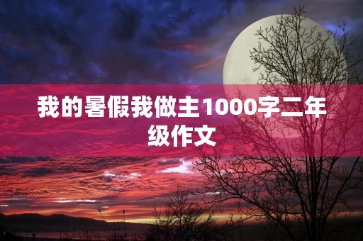 我的暑假我做主1000字二年级作文