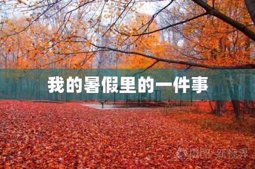 我的暑假里的一件事