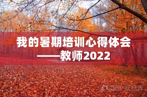 我的暑期培训心得体会——教师2022