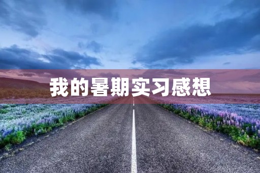 我的暑期实习感想