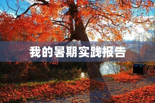 我的暑期实践报告 我的暑期实践报告