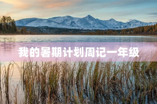 我的暑期计划周记一年级