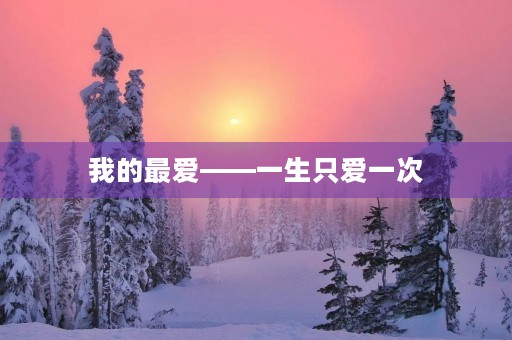 我的最爱——一生只爱一次