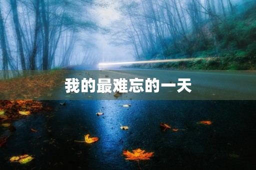 我的最难忘的一天 我的最难忘的一天