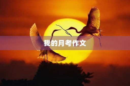 我的月考作文