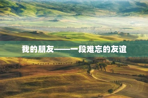我的朋友——一段难忘的友谊