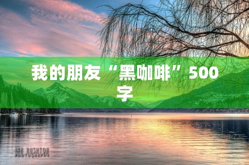 我的朋友“黑咖啡”500字