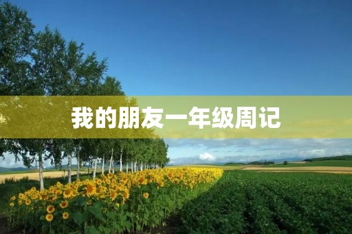 我的朋友一年级周记