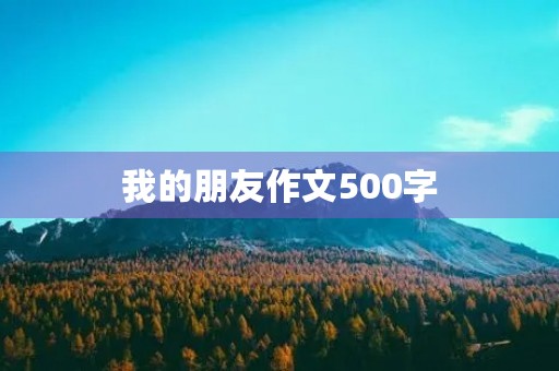 我的朋友作文500字