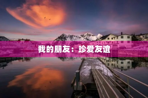 我的朋友：珍爱友谊，共同成长
