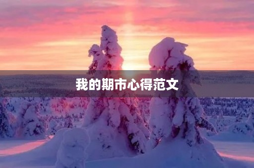 我的期市心得范文