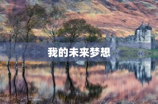 我的未来梦想