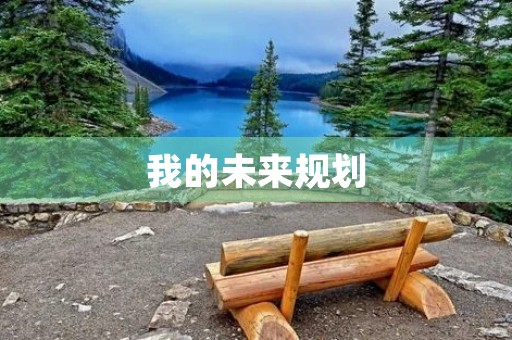 我的未来规划