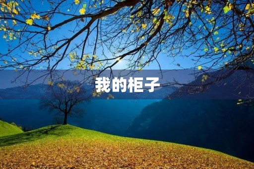 我的柜子 我的柜子