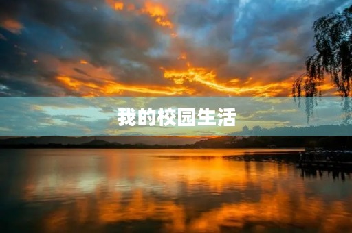 我的校园生活 我的校园生活