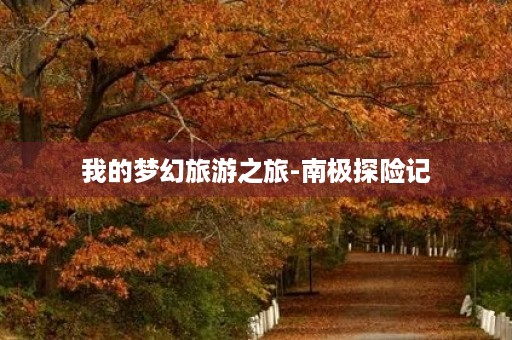 我的梦幻旅游之旅-南极探险记