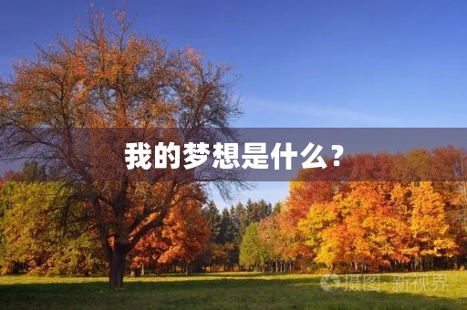 我的梦想是什么？