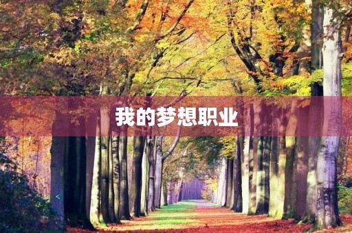 我的梦想职业 我的梦想职业