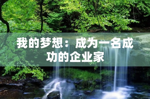 我的梦想：成为一名成功的企业家