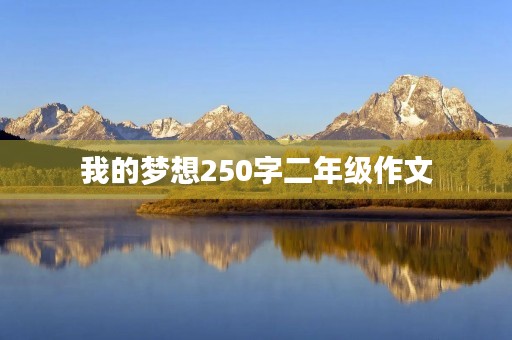 我的梦想250字二年级作文