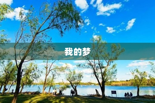 我的梦,中国梦250字三年级作文 我的梦,中国梦250字三年级作文