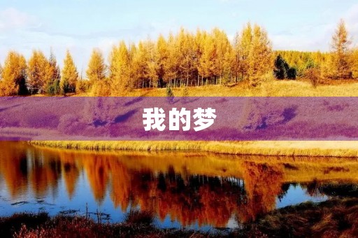 我的梦