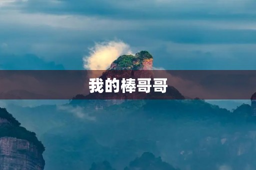 我的棒哥哥 我的棒哥哥