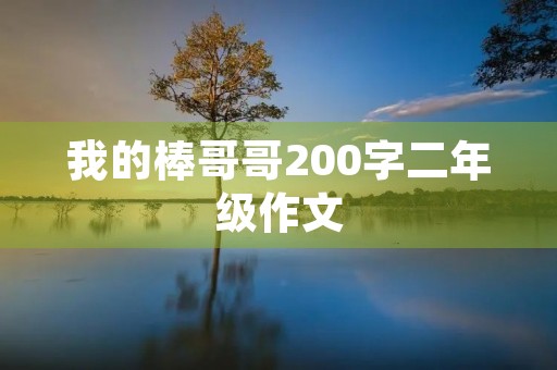 我的棒哥哥200字二年级作文 我的棒哥哥200字二年级作文