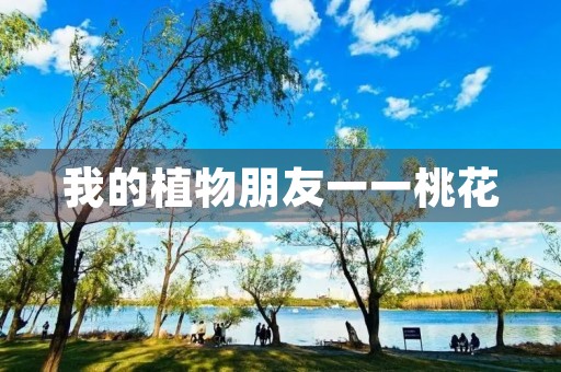 我的植物朋友一一桃花 我的植物朋友一一桃花