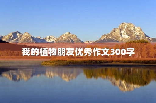 我的植物朋友优秀作文300字 我的植物朋友优秀作文300字