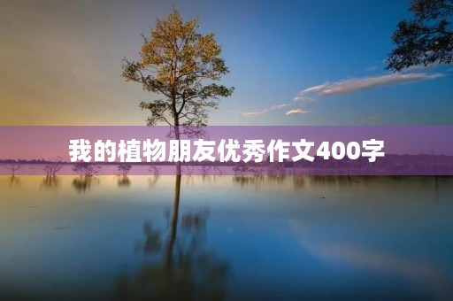 我的植物朋友优秀作文400字