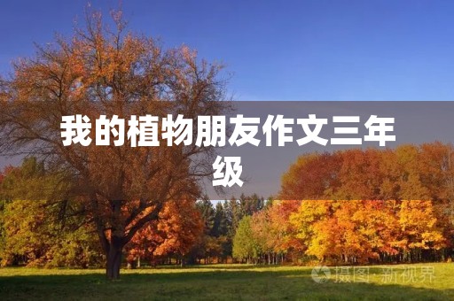 我的植物朋友作文三年级 我的植物朋友作文三年级