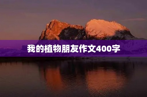 我的植物朋友作文400字