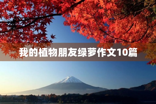我的植物朋友绿萝作文10篇 我的植物朋友绿萝作文10篇
