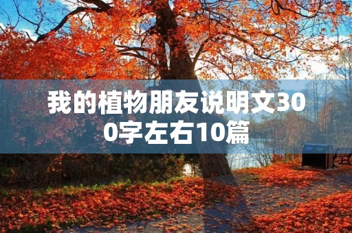 我的植物朋友说明文300字左右10篇