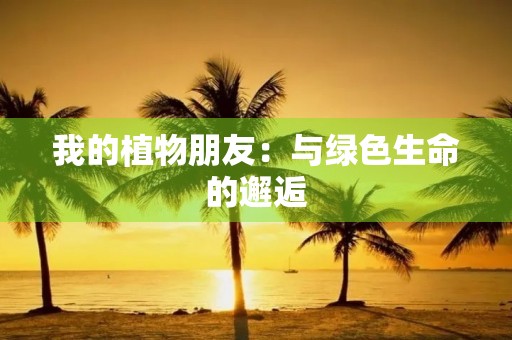 我的植物朋友：与绿色生命的邂逅