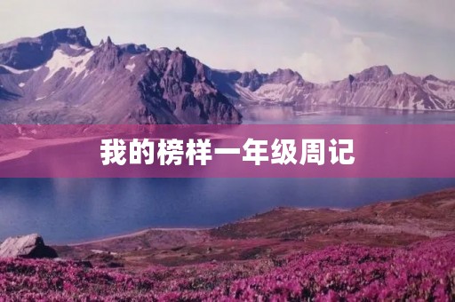 我的榜样一年级周记