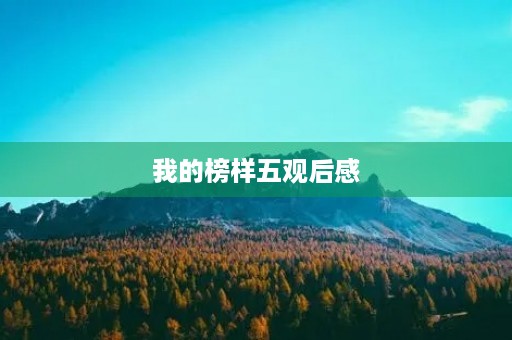 我的榜样五观后感