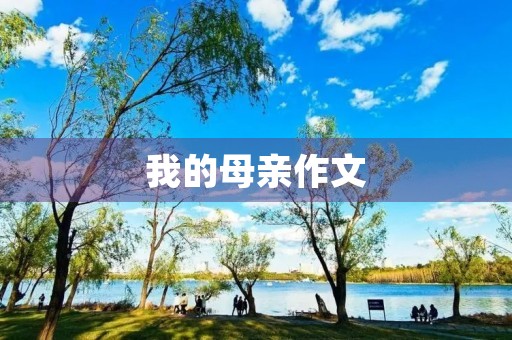 我的母亲作文 我的母亲作文