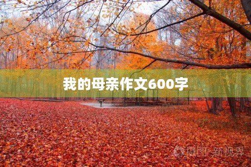 我的母亲作文600字