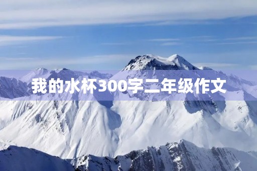 我的水杯300字二年级作文